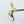Ficus lyrata 'Fiddle Leaf Fig' Variegated TC Plantlet