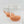 RPF Labs Rooting Media (12 count)