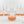 RPF Labs Rooting Media (12 count)