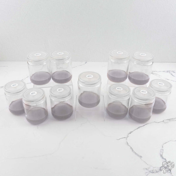 RPF Labs Seed Media (12 count)